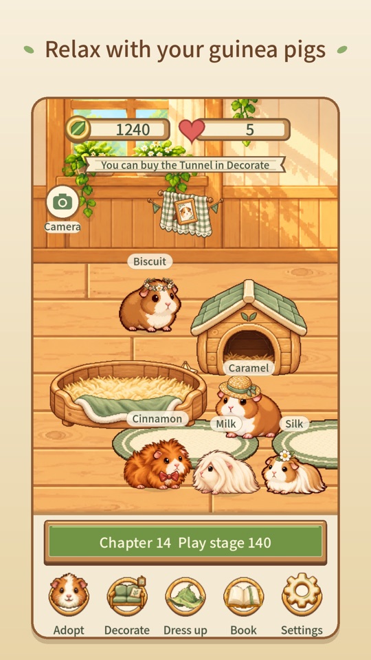 A room where guinea pigs live