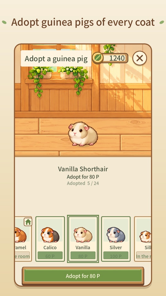 Adopt guinea pigs