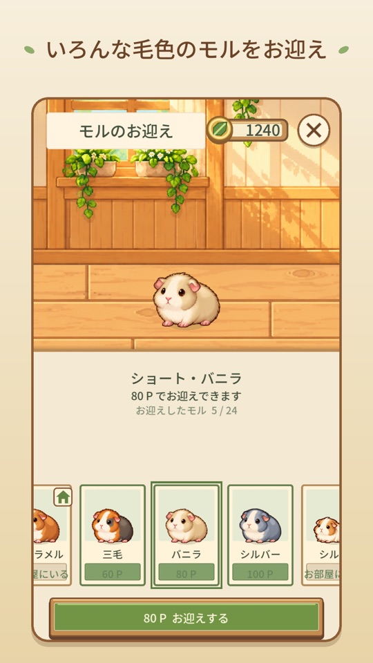 モルのお迎え